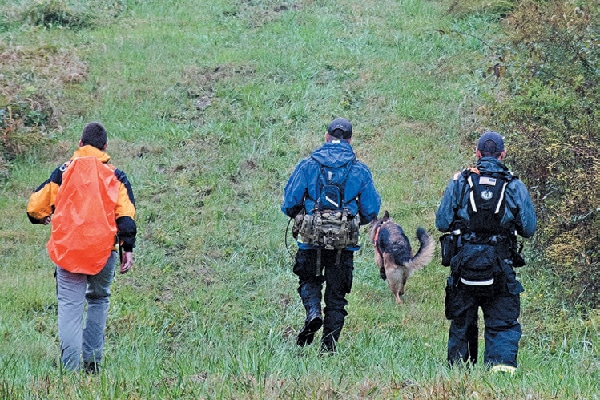 For nose up work, dogs work off leash following their handler’s verbal control, looking for a smell of a person in the air. 