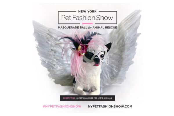 Don't miss the New York Pet Fashion Show Masquerade Ball for Animal Rescue this February 7th at the Hotel Pennsylvania in New York City.