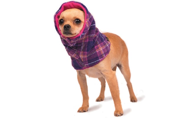 Snood Dog Neck Warmer Mulberry Plaid/Fuchsia