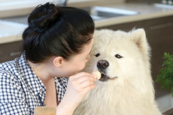 A woman feeding a dog a mushroom.
