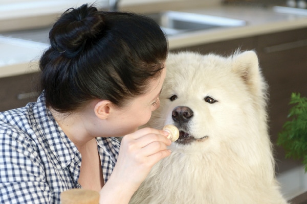 A woman feeding a dog a mushroom. 