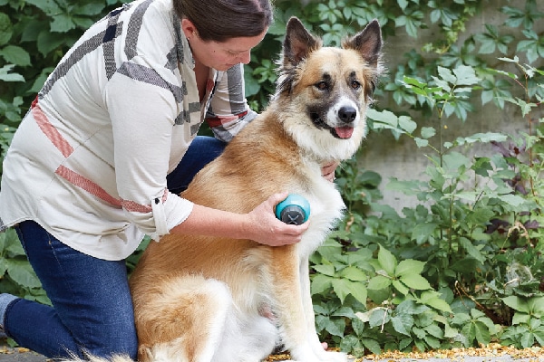 Pet Well All-Over Massage Roller.