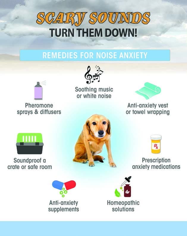 sounds to make dogs calm down