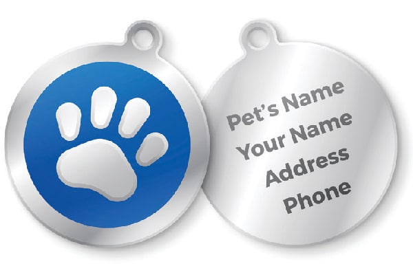 Dog ID tags. Photography ©filo | Getty Images.