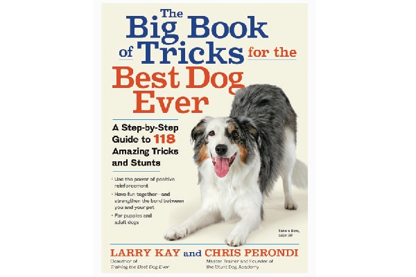 The Big Book of Tricks for the Best Dog Ever.