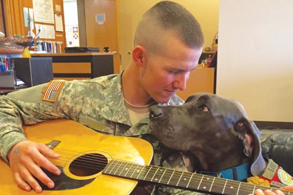 Therapy dog and serviceman