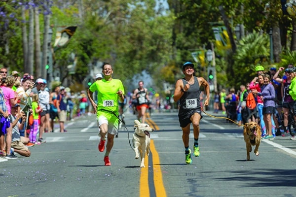 It's the 20th anniversary of the World Championship Dog Mile that takes place during the State Street Mile run in Santa Barbara, California.