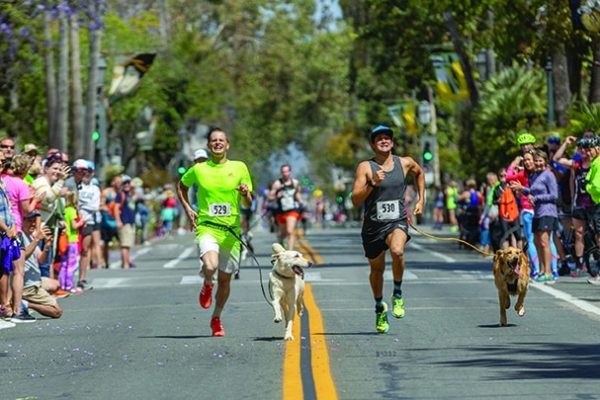 It's the 20th anniversary of the World Championship Dog Mile that takes place during the State Street Mile run in Santa Barbara, California.