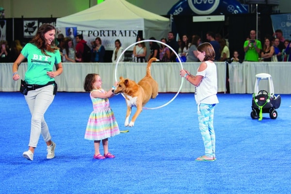 Check out the two-day World Dog Expo in New Jersey.