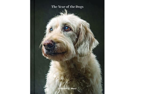 Vincent J. Musi's beautiful book, Year of the Dog, includes photos and narratives about each dog, from Chronicle Books; $29.95