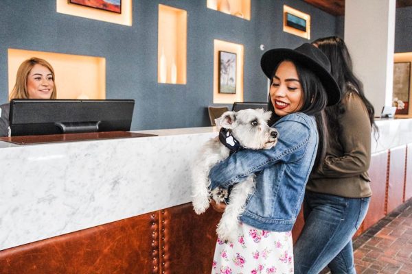 Don't miss Portola Hotel & Spa of Monterey, CA's charity gala and Doggie Fashion Show.