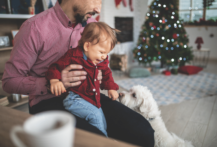 solutions to dog behavior problems during the holidays