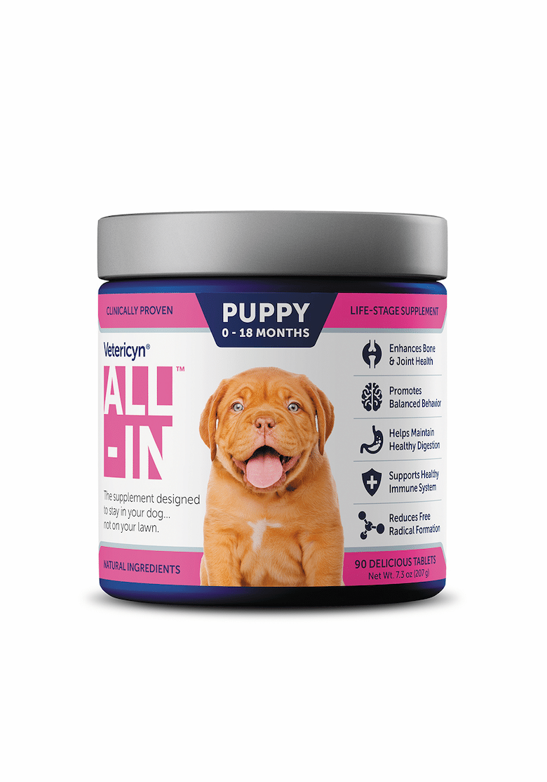 new dog products april 2020