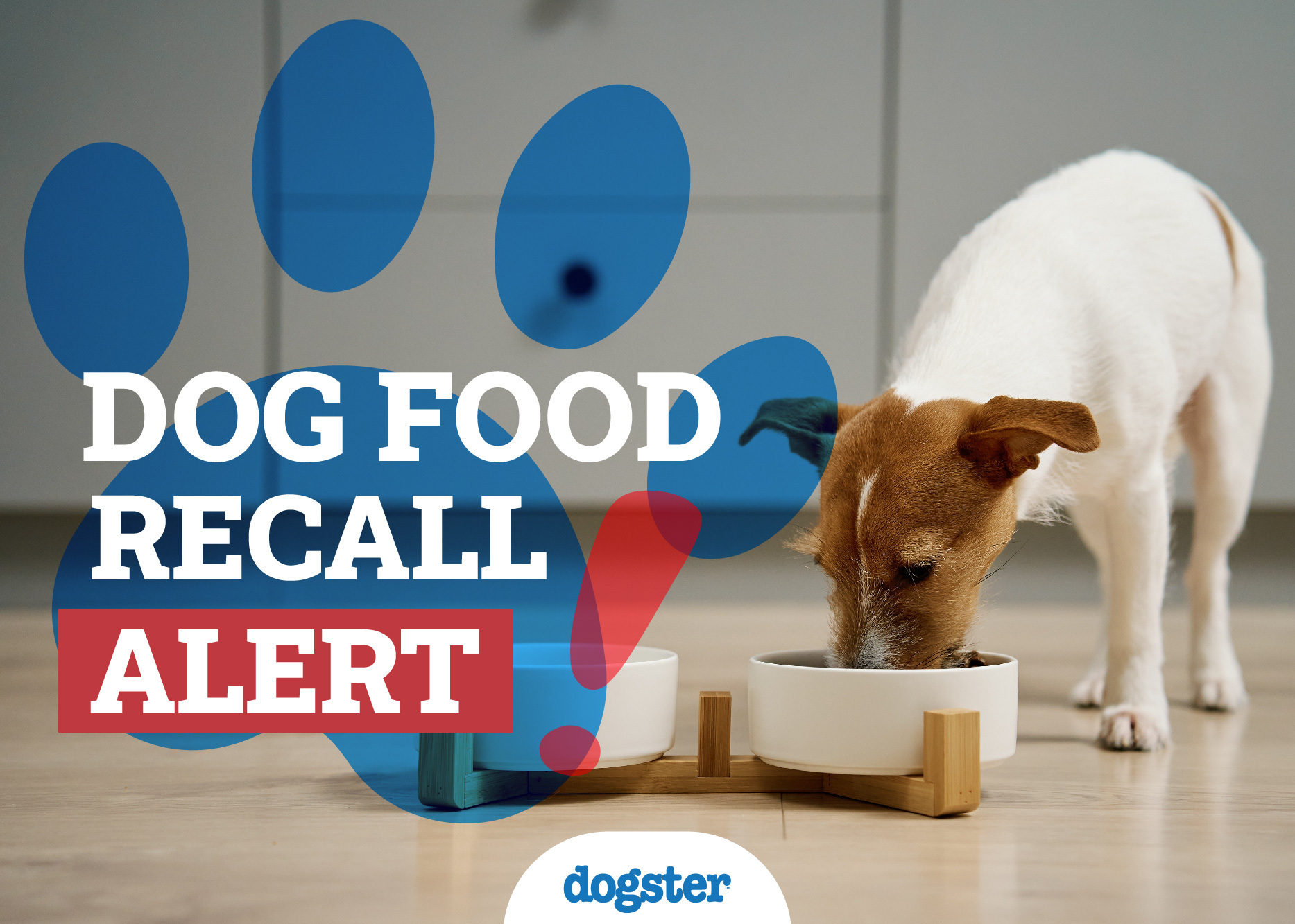 Dog Food Recall Alerts