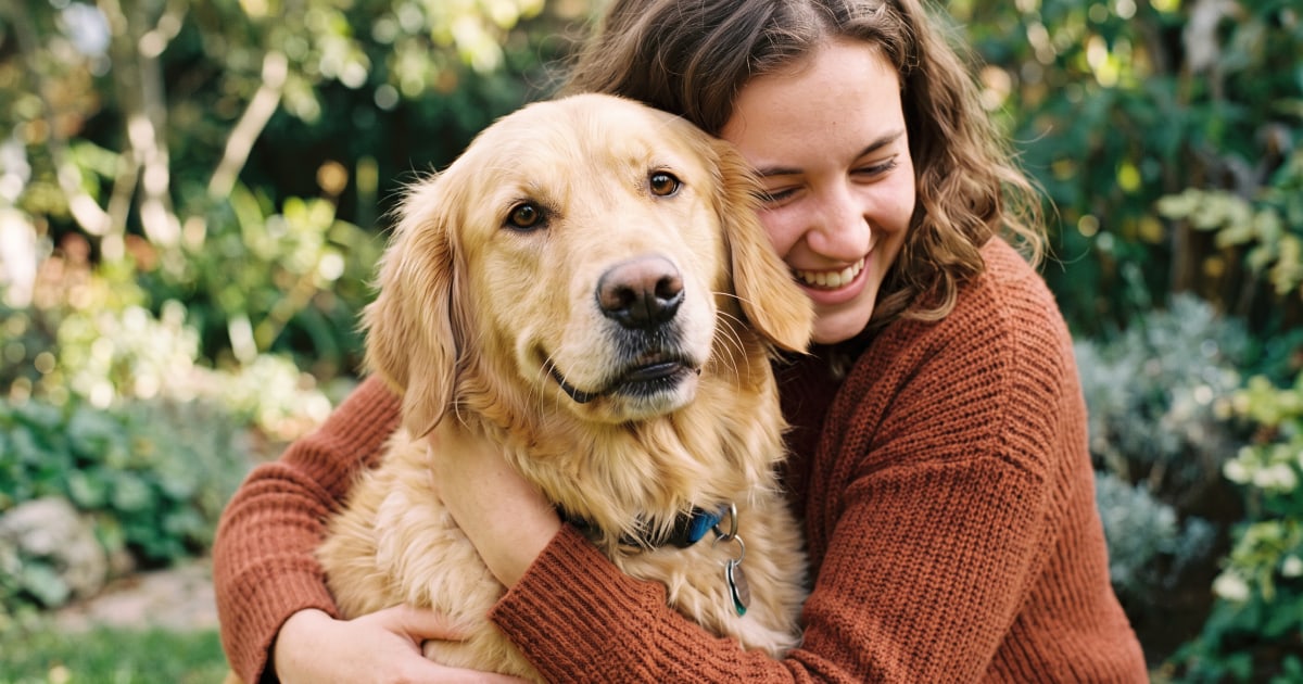 What Dog Breed Am I? Personality Quiz | Dogster