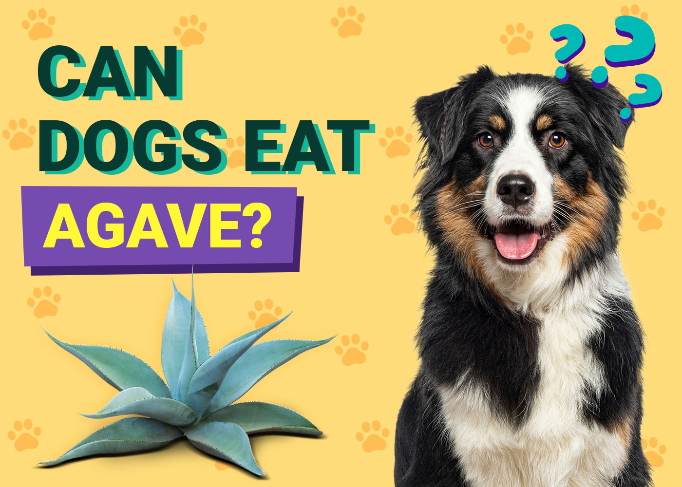 Can Dogs Eat Agave