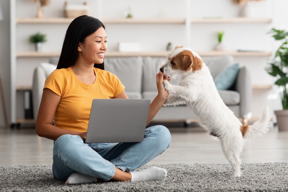 woman working on laptop