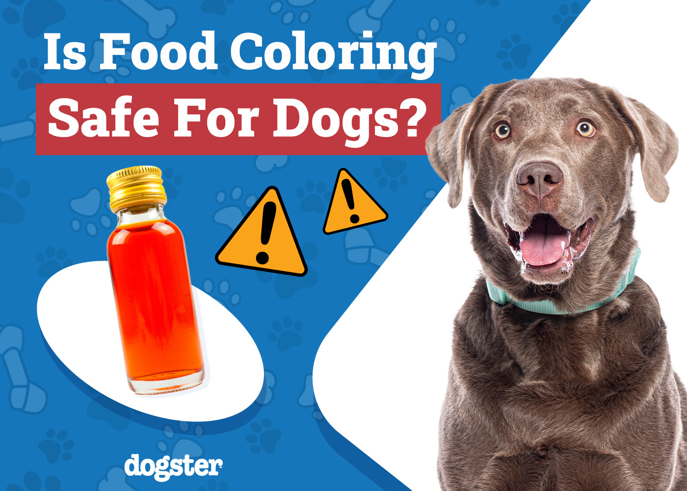Dogster_Is Food Coloring Safe for Dogs