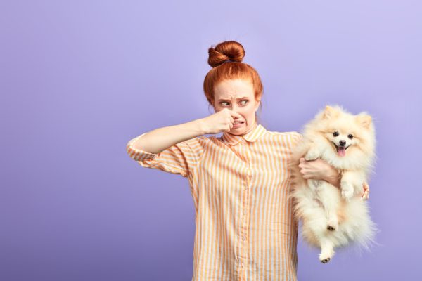 red head girl holding smelly dog