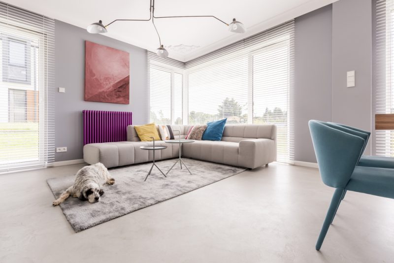dog lying on the floor next to couch