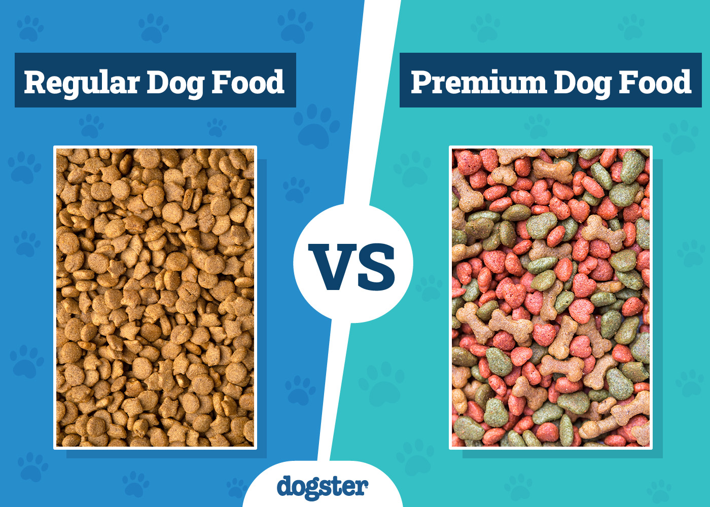 Dogster_Regular vs Premium Dog Food