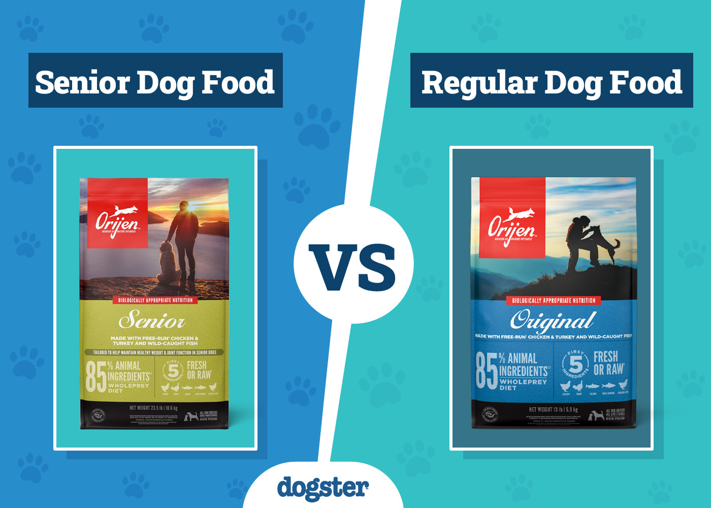 Dogster_Senior vs Regular Dog Food