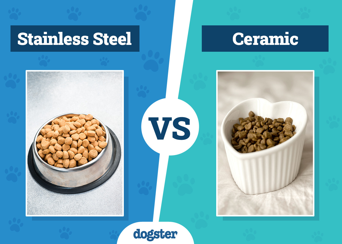 Dogster_Stainless Steel VS Ceramic Bowl