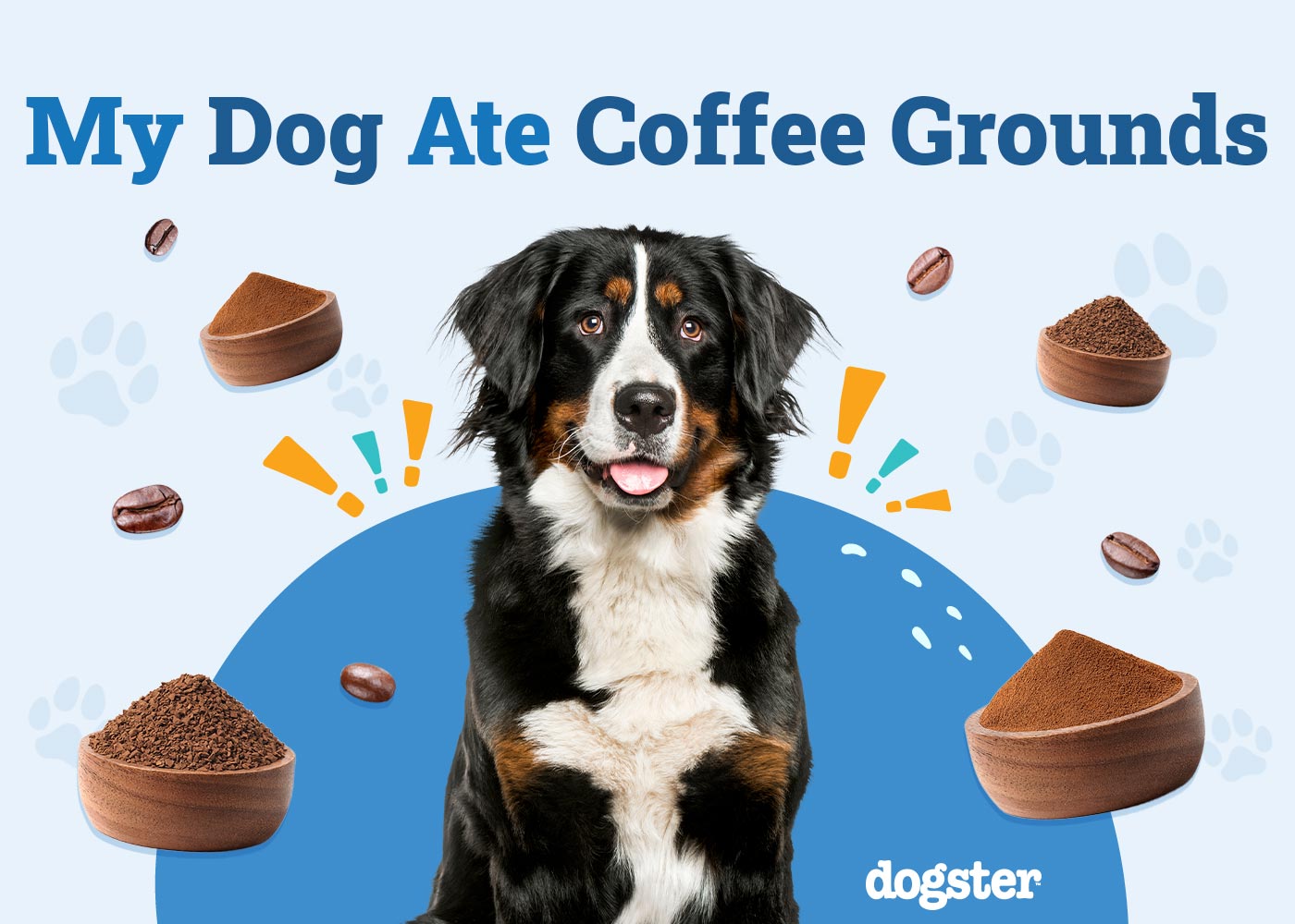 My Dog Ate Coffee Grounds