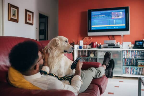 dog owner watching TV