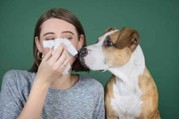 woman sneeze into tissue next to dog allergies