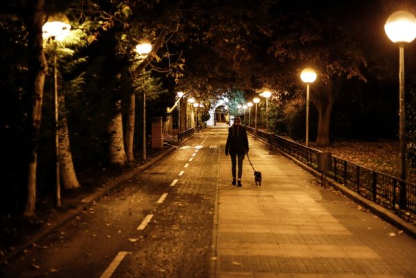 girl walking the dog at night in winter