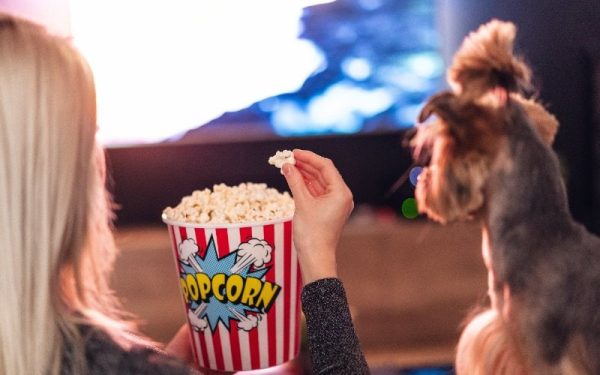 woman eating popcorn while watching movie with dog