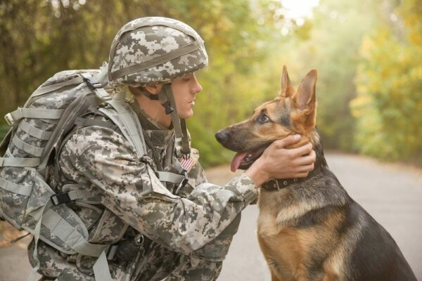 a soldier and a K9 military dog