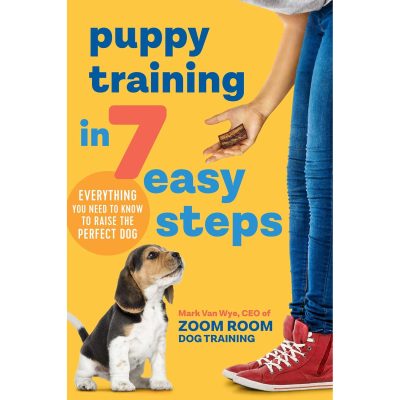 Puppy Training in 7 Easy Steps