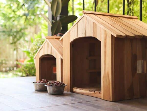 Side view of two empty wooden dog's houses with dog food bowls in balcony decorated with houseplant in plant pots