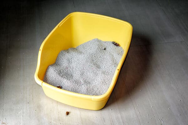 Smelly-and-Messy-Hard-to-Clean-Cat-Litter-Box