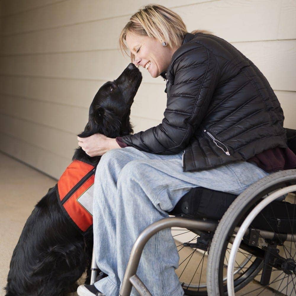 A black service dog with a woman in a wheelchair