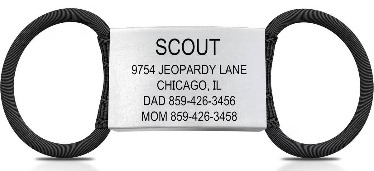 DOG iD Personalized Dog ID Tag