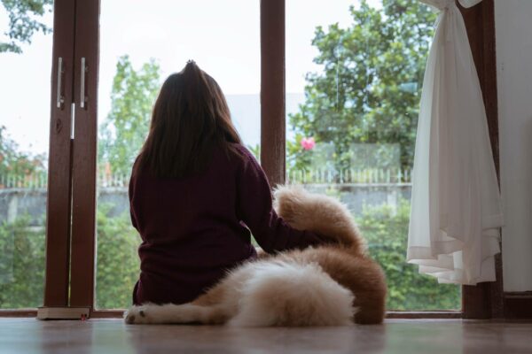 Woman sitting in the living room overlooking the backyard lawn with her Akita Inu dog pet