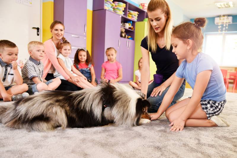 woman and therapy dog working with kids in the preschool