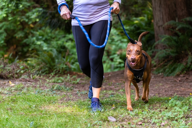 woman running on a trail in the woods with her energetic dog