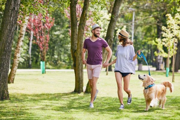 couple walking in-the park with dog