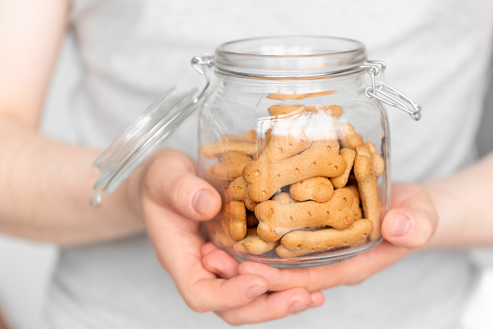 person holding dog treats on the jar