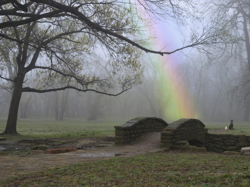 rainbow bridge