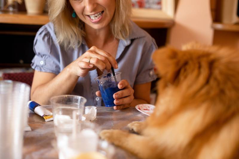 Artist who mixes blue paint in cup has an attentive assistant dog