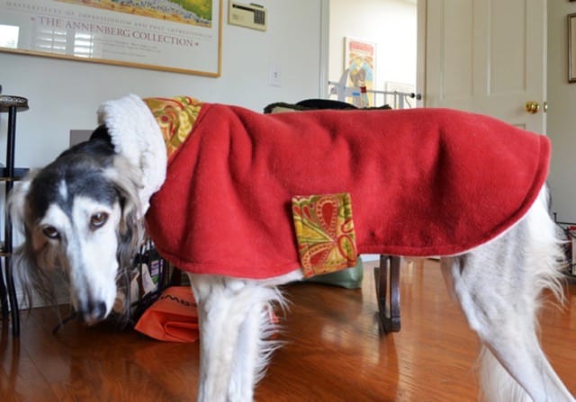 Parker wears his favorite jacket.