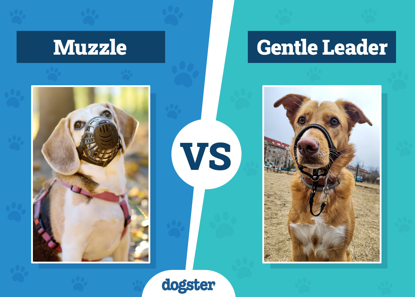 Dogster_Muzzle VS Gentle Leader