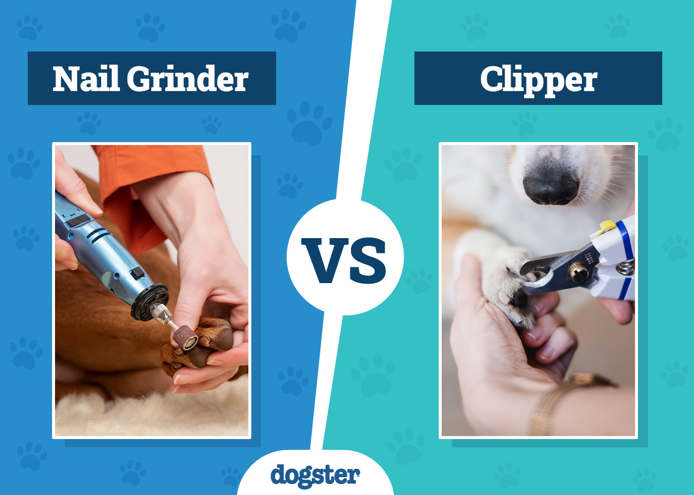 Dogster_Nail Grinder vs. Clipper