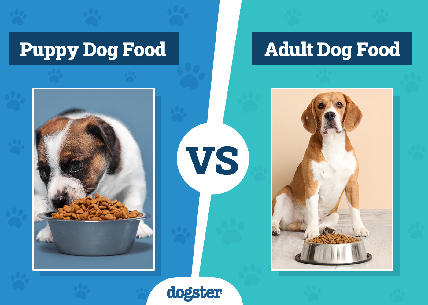 how long do puppies need to eat puppy food