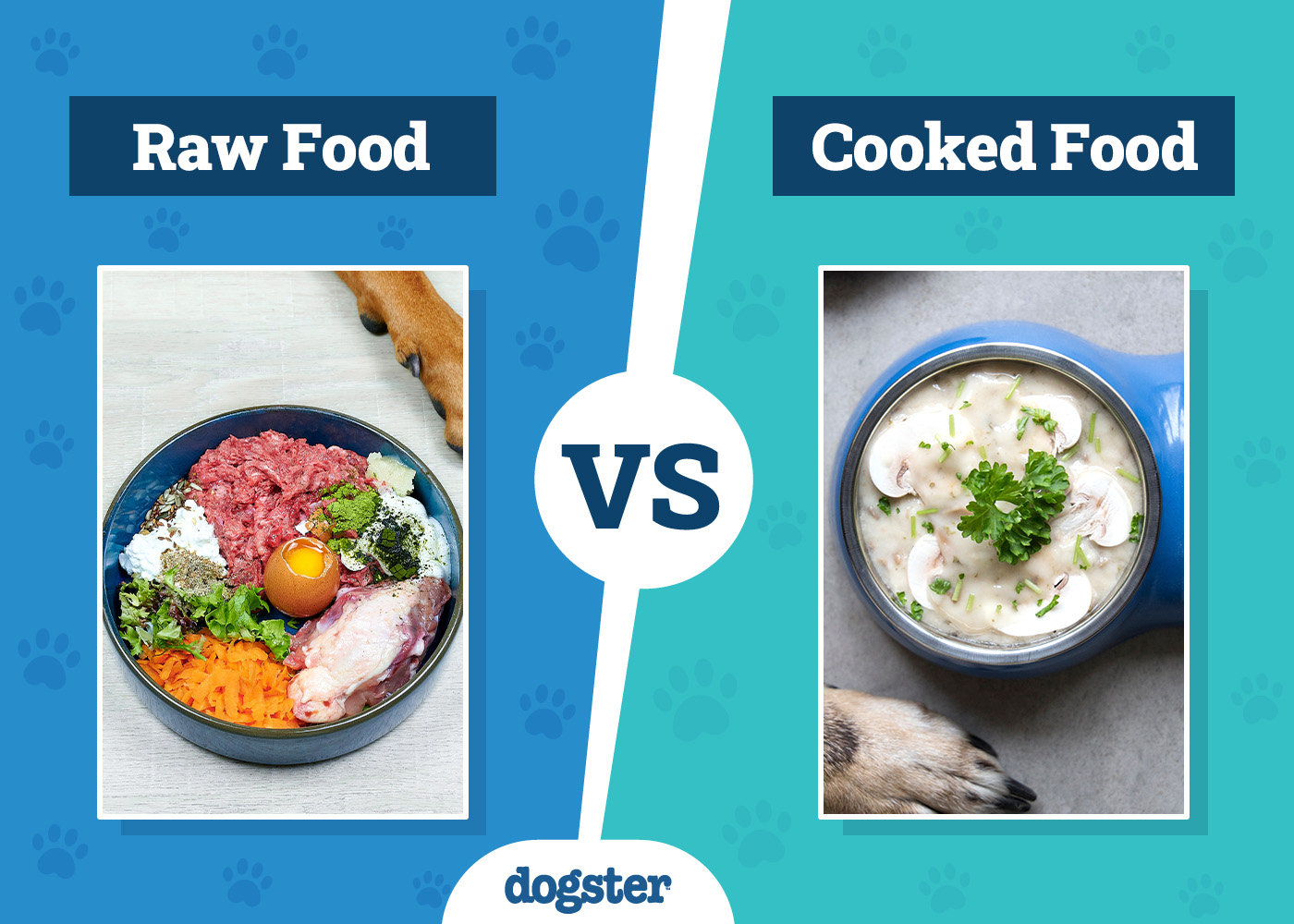 Dogster_Raw VS Cooked Food